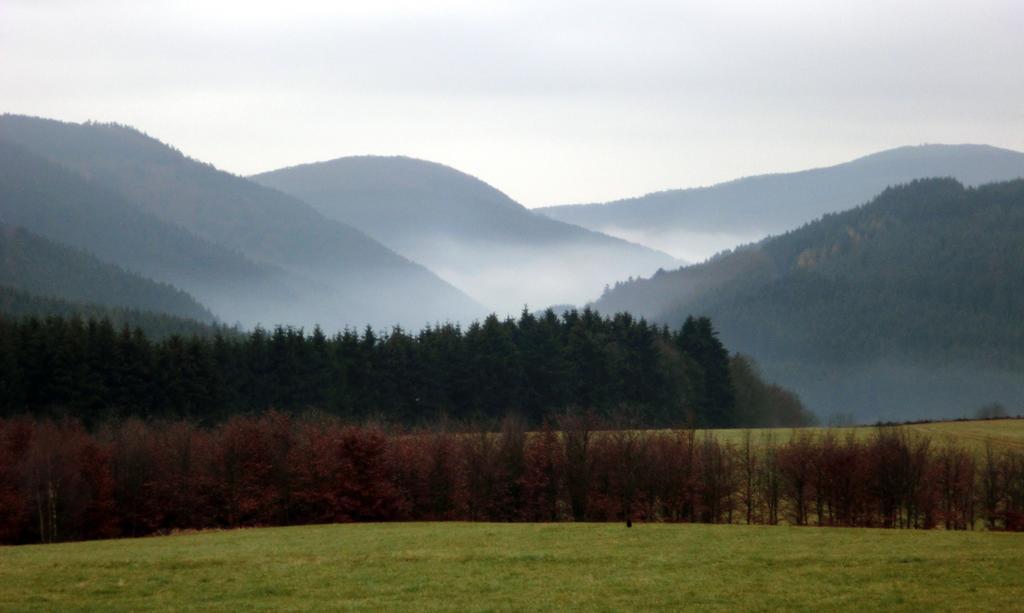 Landhaus Zur Linde Apartment Winterberg Ruang foto